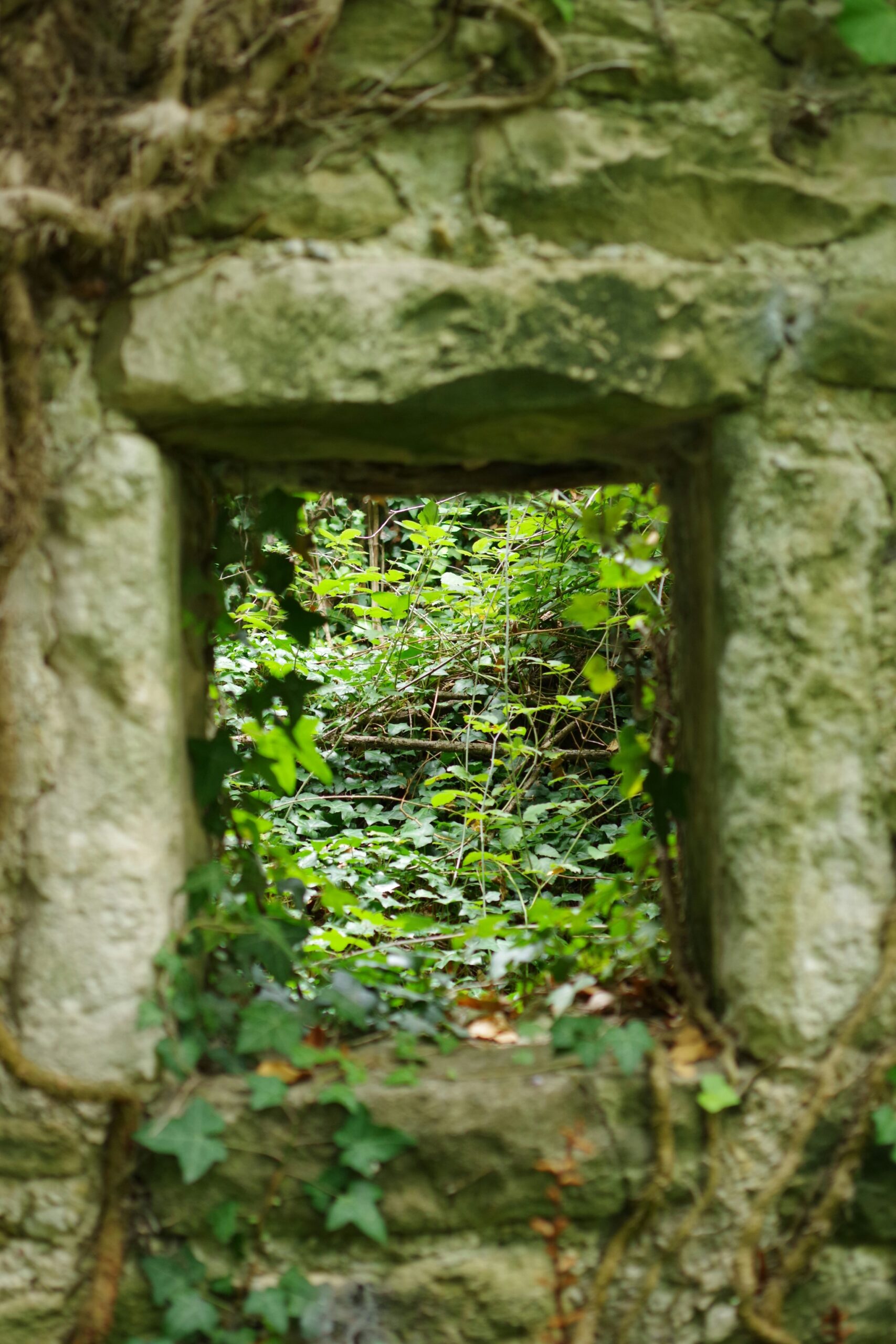 Tere, Maailm tunnuspilt